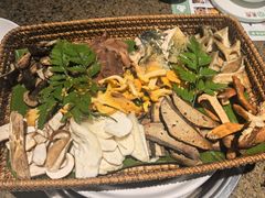 -菌歌野生菌火锅(海埂大坝店)