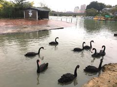 -琅岐红光湖公园