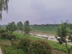 -洨河生态公园