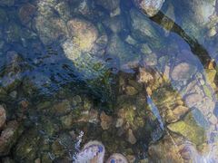 -北仑森林植物园