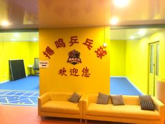 -搏鸣乒乓球俱乐部(万柳店)
