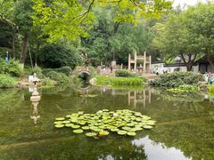 -金典银峰老鹅馆·昆山菜(亭林公园店)