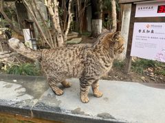 -张家港金凤凰度假村温泉