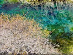 -叠溪松坪沟景区