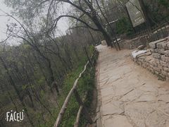 -井塘古村