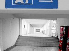 -上海海洋大学(临港校区)