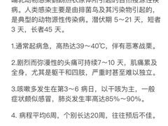 -青石桥花鸟鱼虫市场(叠翠城店)