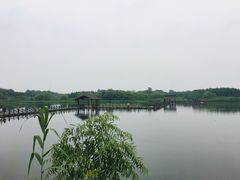 -溱湖国家湿地公园
