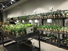 -鹿岛会员店 (龙湖三千集天街店)