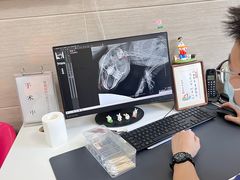 -北京观赏动物医院·24小时大型综合·猫专科·异宠专科