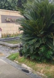 -莲生母婴月子中心(清水河公园店)