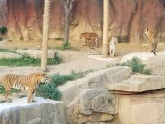 -无锡动物园·太湖欢乐园