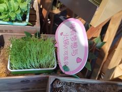 -番食园鲜食火锅(高新店)