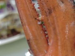 -煌潮大酒店