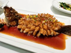 -有心德(麦地店)