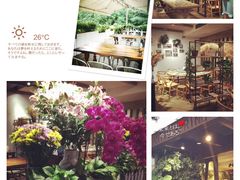 picture-春暖花开(西溪店)