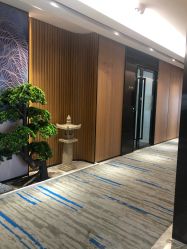 -MJ skin care国际皮肤管理中心