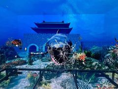 -深圳独角兽星空艺术馆