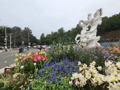 -深圳仙湖植物园