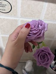 -恐龙·美甲美睫