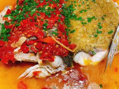 双色鱼头-兴农记