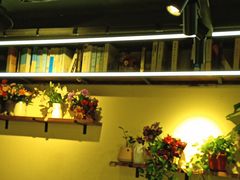 -谢三姐金奖啤酒鱼(总店)