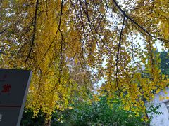 -四川大学(华西校区)