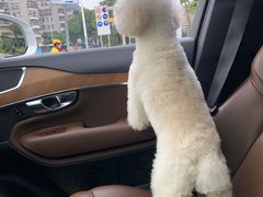 -瑞鹏宠物医院·微创内窥镜·骨外科·牙科(翠竹分院)