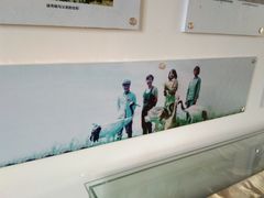 -盐城丹顶鹤湿地生态旅游区