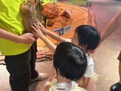 -正佳雨林生态植物园