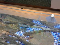 -天盛海鲜烧烤大排档·本地小海鲜·牟平腿穗子(幸福店)
