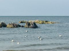 -北戴河东海水浴场