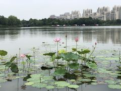 -南翔镇银翔湖公园