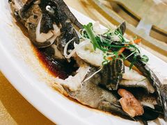 -御同亨酒楼·喜宴