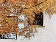 -惠山古镇·寄畅园