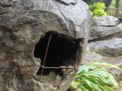 -广州市帽峰山景区