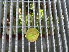 -福道