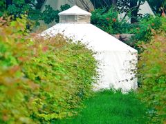 -安德鲁户外烧烤帐篷营地(马泉营店)