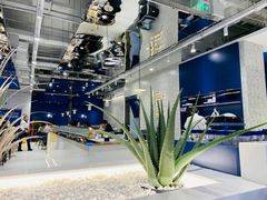 -兰湘子·湘菜小炒(崂山丽达店)