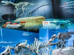 -正佳自然科学博物馆