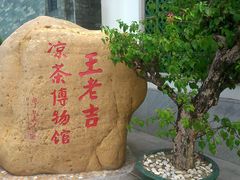 -广州神农草堂中医药博物馆