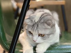 -作咖啡(养育巷店)