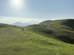 -大姆山草场
