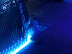 -零纪元VR体验馆·桌游(黄浦店)