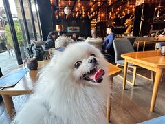 -THE CANNERY&JUJU 新鲜海鲜·牛排美食酒廊