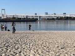 -台场海滨公园船码头