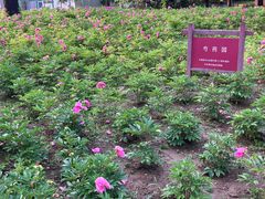 -丰台花园