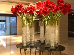 -上海中航虹桥机场泊悦酒店