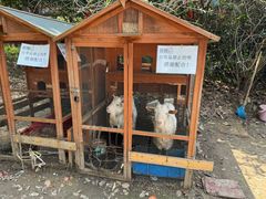 -白马涧龙池景区