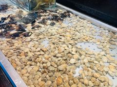 -钱小奴创意自助餐厅·山野黑猪肉畅吃(苏州昆山招商花园城店)